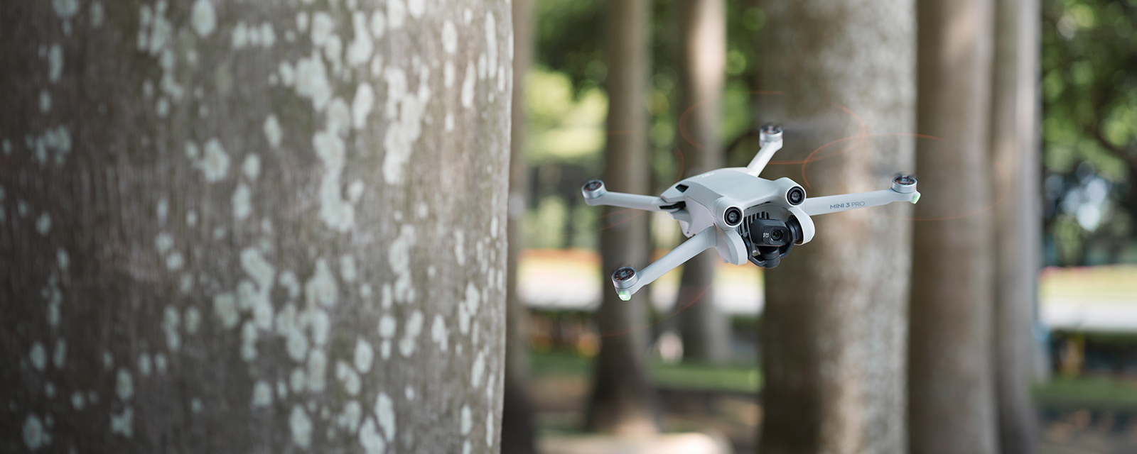 New Firmware Update for DJI Mini 3 Pro: Vertical Shooting Gets an Upgrade | D1 Lounge